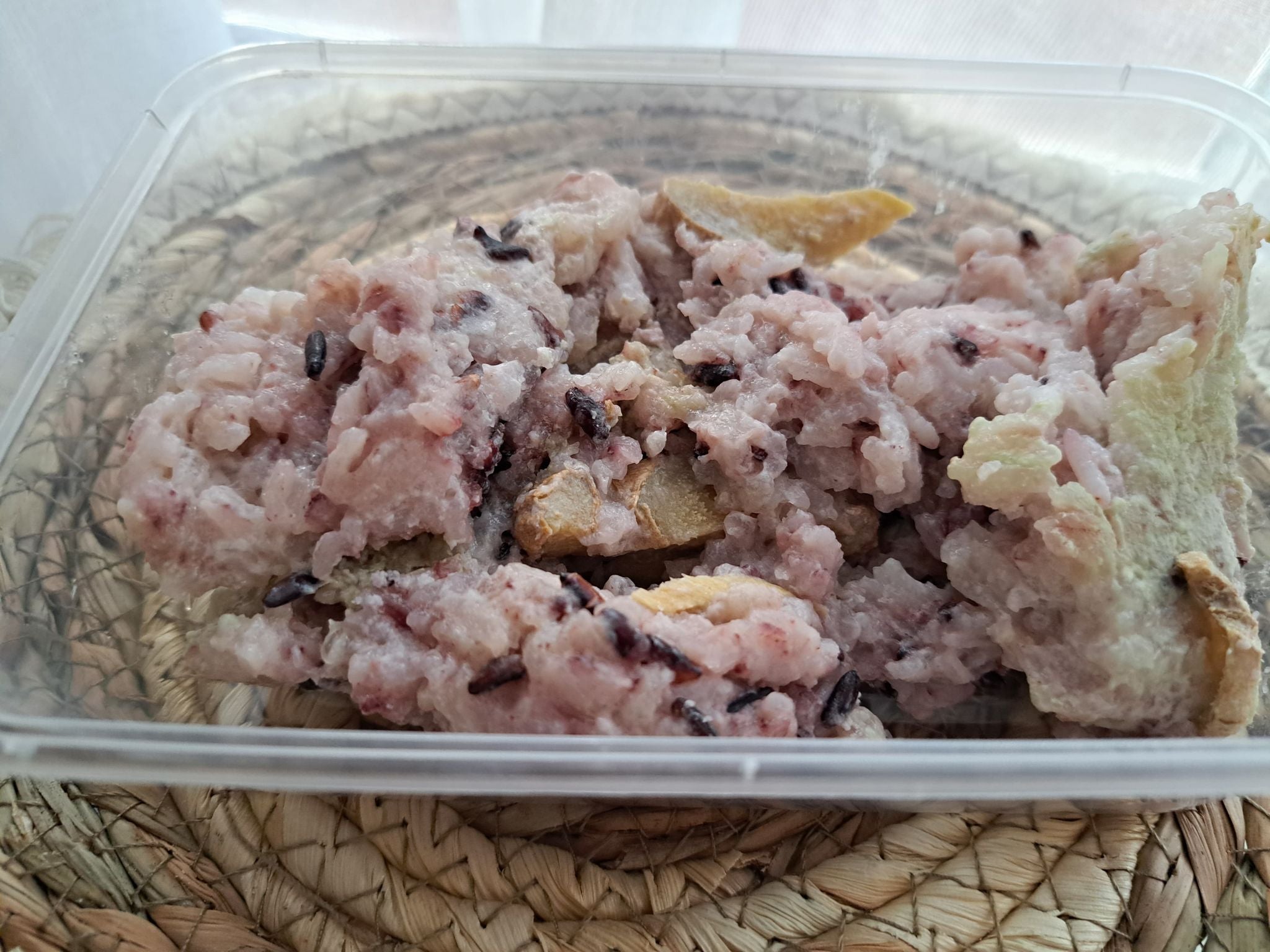 Puto Maya